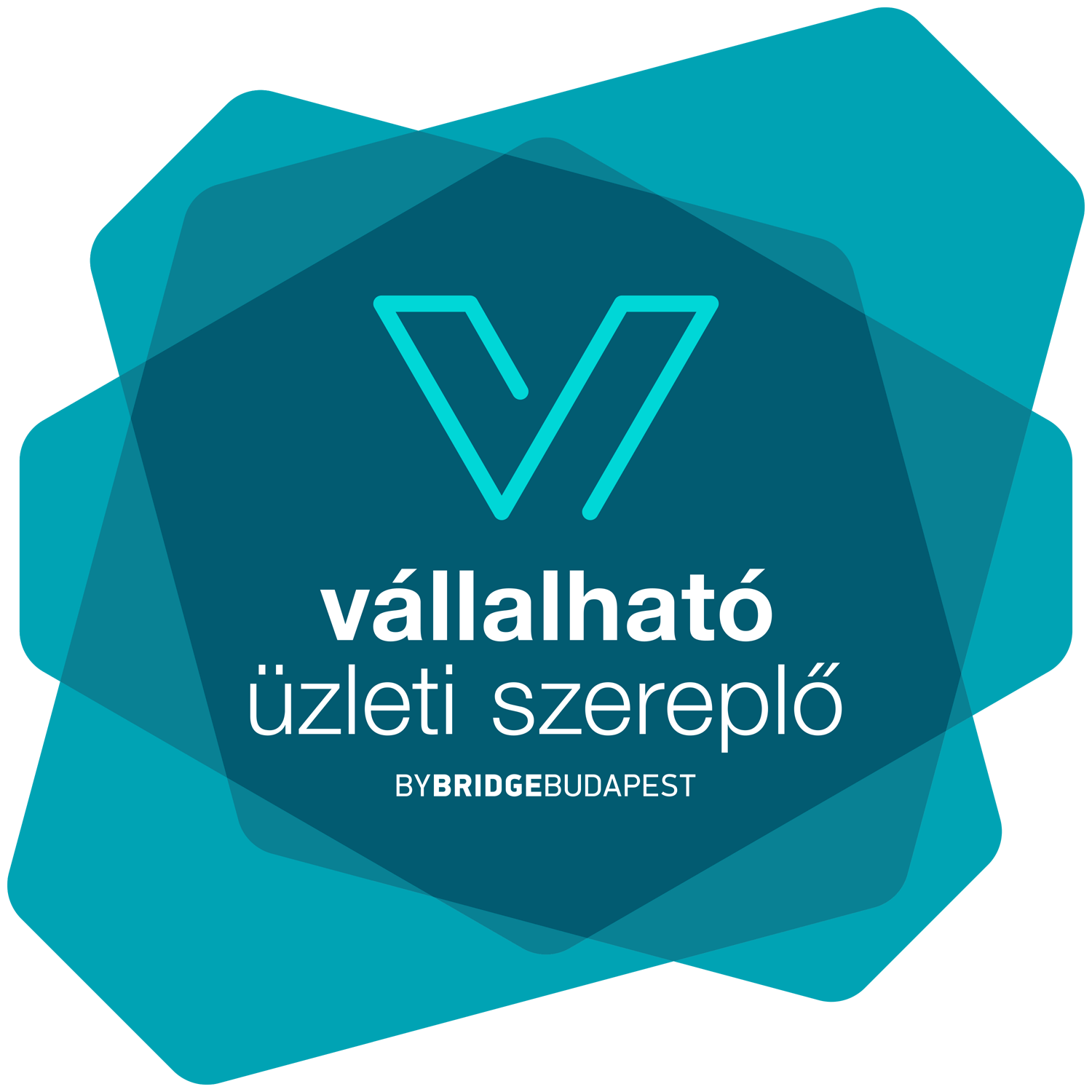 Vállalható Vállalkozás